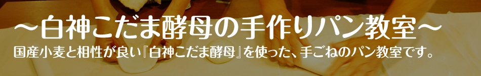 ���_�p��